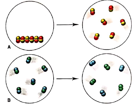 Chapter 1, Problem 1.77P, Scenes A and B depict changes in matter at the atomic scale: Which show(s) a physical change? (b) 