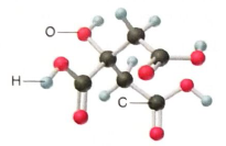 Chapter 3, Problem 3.102P, Citric acid (right) is concentrated in citrus fruits and plays a central metabolic role in nearly 