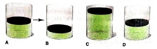 Chapter 5, Problem 5.100P, In A, the picture shows a cylinder with 0.1 mol of a gas that behaves ideally. Choose the cylinder 