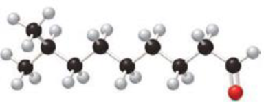 Chapter 12.8, Problem 12.20P, Give the IUPAC name for each aldehyde depicted in the ball-and-stick models. Both aldehydes are , example  1