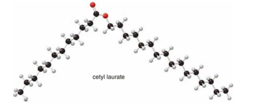 Chapter 15.3, Problem 15.7P, What hydrolysis products are formed when cetyl laurate (shown in the ball-and-stick model) is 