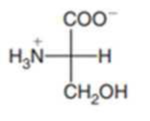 Chapter 16.2, Problem 16.4P, Which of the following amino acids is naturally occurring? By referring to the structures in Table , example  1