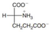 Chapter 16.2, Problem 16.4P, Which of the following amino acids is naturally occurring? By referring to the structures in Table , example  2