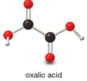 Chapter 3, Problem 3.83AP, Convert the 3-D model of oxalic acid into a Lewis structure and include all nonbonded electron pairs 