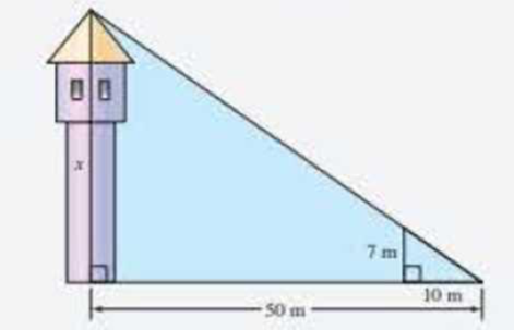 Chapter 9.2, Problem 50E, Find the height of the tower. 