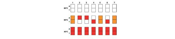 Chapter 10, Problem 20P, Microarrays were used to determine the genotypes of seven embryos made by in vitro fertilization 