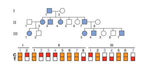 Chapter 10, Problem 25P, The figure below shows the pedigree of a family in which a completely penetrant, autosomal dominant 