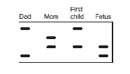 Chapter 10, Problem 31P, Approximately 3 of the population carries a mutant allele at the CFTR gene responsible for the 