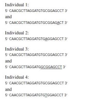 Chapter 10, Problem 39P, The human RefSeq of the entire first exon of a gene involved in Brugada syndrome a cardiac disorder 