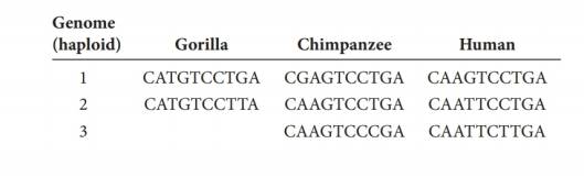 Chapter 10, Problem 8P, Humans and gorillas last shared a common ancestor about 10 million years ago. Humans and chimps last 