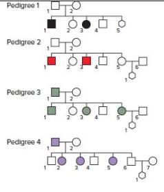 Chapter 4, Problem 36P, Each of the four pedigrees that follow represents a human family within which a genetic disease is 