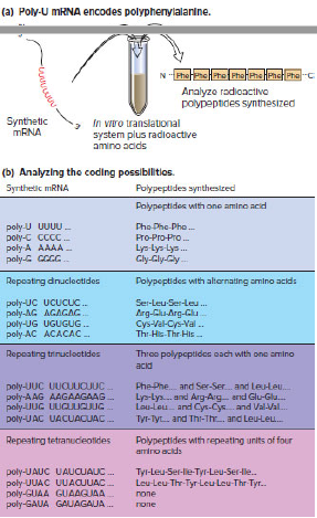 Chapter 8, Problem 9P, The results shown in Fig. 8.5 on p. 260 may have struck you as incongruous because many synthetic 