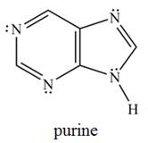 Chapter 17, Problem 17.36P, 17.36 The purine heterocycle occurs commonly in the structure of DNA.

How is each  atom 