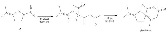 Chapter 24, Problem 24.44P, 24.44 Vetivone is isolated from vetiver, a perennial grass that yields a variety of compounds used 