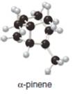 Chapter 31, Problem 31.17P, 31.17 Locate the isoprene units in each compound.
		a. 		b. 
 , example  1