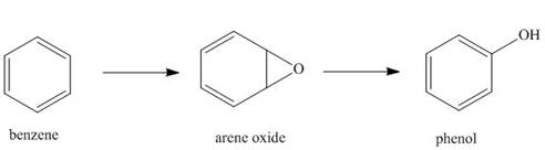 Chapter 4, Problem 4.67P, 4.65 	Hydrocarbons like benzene are metabolized in the body to arene oxides, which rearrange to form 