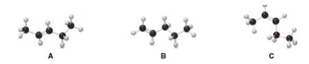 Chapter 8, Problem 24P, 8.24 Rank the alkenes shown in the ball-and-stick models (A-C) in order of increasing stability.

 