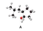 Chapter 9, Problem 37P, Answer each question using the ball-and-stick model of compound A.

a.	Give the IUPAC name for A, 