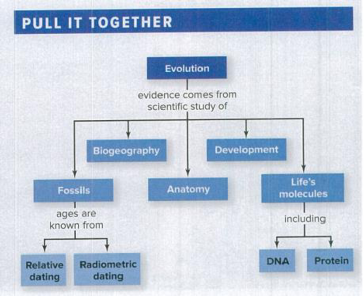 Chapter 13, Problem 1PIT, Figure 13.25 Pull It Together: Evidence of Evolution. Refer to figure 13.25 and the chapter content 