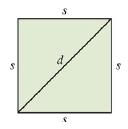Chapter 1.3, Problem 125PE, Given a square with sides of length s, diagonal of length d, perimeter P, and area A. 