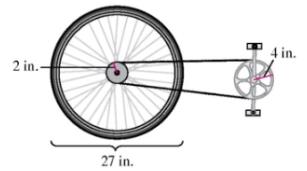 Chapter 4.1, Problem 125PE, When a person pedals a bicycle, the front sprocket moves a chain that drives the back wheel and 
