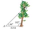 Chapter 6.2, Problem 43PE, A wire is fastened to a point T on a tree and to point A located 8.8ft from the base of the tree 
