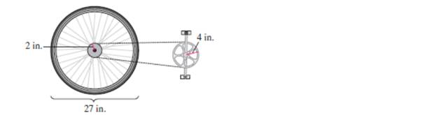 Chapter 5.1, Problem 125PE, When a person pedals a bicycle, the front sprocket moves a chain that drives theback wheel and 