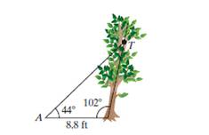 Chapter 7.2, Problem 43PE, A wire is fastened to a point T on a tree and to point A located 8.8 ft from the base of the tree 