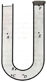 Chapter 12.1, Problem 4bT, The right end of the tube is now scaled with a stopper. The water on both sides remain the same. 