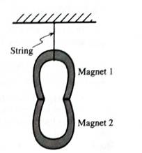 Chapter 2.1, Problem 3aT, A magnet is supported by another magnet as shown at right. 1. Draw a free-body diagram for magnet 2. 