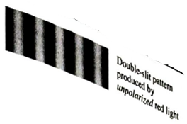 Chapter 25.7, Problem 3aTH, Unpolarized red light is incident on two identical, narrow vertical slits. The photograph at right 