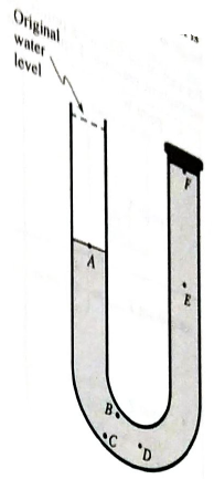 Chapter 26.1, Problem 1bTH, 1. A U-tube filled with water is closed on one end. The tube is about one meter tall. When water is 