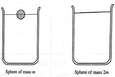 Chapter 26.2, Problem 2cTH, A solid sphere of mass m floats in a beaker of water as shown. A second sphere of the same material 