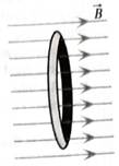 Chapter 8.1, Problem 2aT, The diagram at right shows a stationary, copper wire loop in a uniform magnetic field. The magnitude 