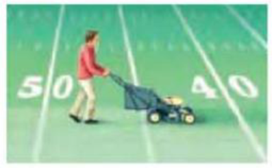 Chapter 1, Problem 40P, (II) Estimate how long it would take one person to mow a football field using an ordinary home lawn 
