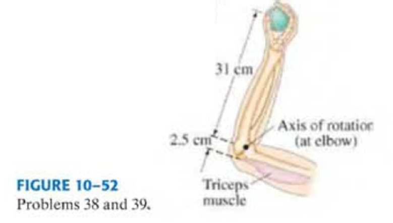 Chapter 10, Problem 38P, (II) The forearm in Fig. 1052 accelerates a 3.6-kg ball at 7.0 m/s2 by means of the triceps muscle, 