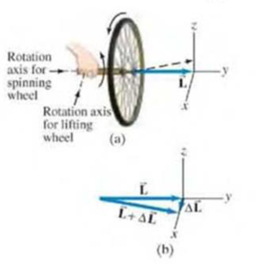 Chapter 11, Problem 11Q, Describe the torque needed if the person in Fig. 1117 is to tilt the axle of the rotating wheel 