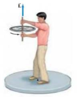 Chapter 11.1, Problem 1BE, CONCEPTUAL EXAMPLE 115 Spinning bicycle wheel. Your physics teacher is holding a spinning bicycle 