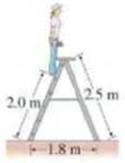 Chapter 12, Problem 28P, (III) A 56.0-kg person stands 2.0 m from the bottom of the stepladder shown in Fig. 1265. Determine 