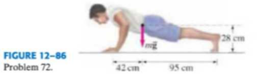Chapter 12, Problem 72GP, A man doing push-ups pauses in the position shown in Fig. 1286. His mass m = 68 kg. Determine the 