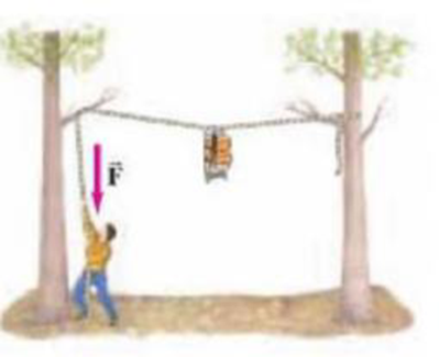 Chapter 12, Problem 83GP, A 23.0-kg backpack is suspended midway between two trees by a light cord as in Fig. 1250. A bear 