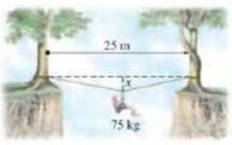 Chapter 12, Problem 96GP, In a mountain-climbing technique called the Tyrolean traverse, a rope is anchored on both ends (to 