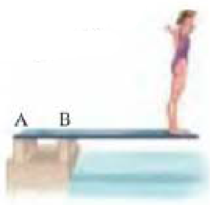 Chapter 12.2, Problem 1DE, CHAPTER-OPENING QUESTIONGuess Now! The diving board shown here is held by two supports at A and B. 