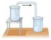 Chapter 13, Problem 11Q, Explain how the tube in Fig. 1344, known as a siphon, can transfer liquid from one container to a 