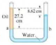 Chapter 13, Problem 17P, (II) Water anti then oil (which dont mix) are poured into a U-shaped tube, open at both ends. They 