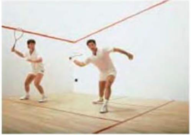 Chapter 19, Problem 77GP, In a typical game of squash (Fig. 19-36), two people hit a soft rubber ball at a wall until they are 