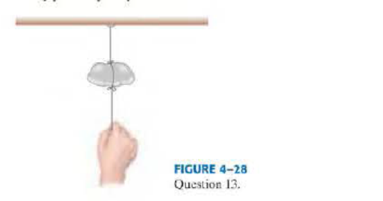 Chapter 4, Problem 13Q, A stone hangs by a fine thread from the ceiling, and a section of the same thread dangles from the 