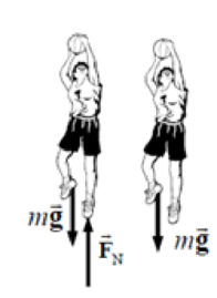 Chapter 4, Problem 29P, (I) Draw the free-body diagram for a basketball player (a) just before leaving the ground on a jump, , example  2