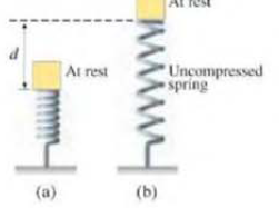 Chapter 8, Problem 21P, (II) When a mass m sits at rest on a spring, the spring is compressed by a distance d from its 