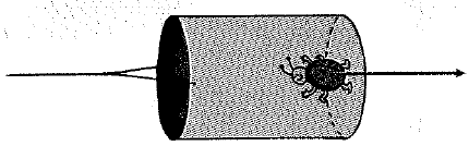 Chapter 10, Problem 12A, Identify the action and reaction forces in the interaction between the ladybug and the whirling can 